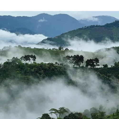 Gården La Roca i bergen i Tolima, Colombia