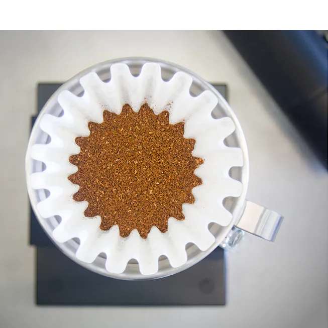 Kalita filter med malet Kenya Gloria kaffe i